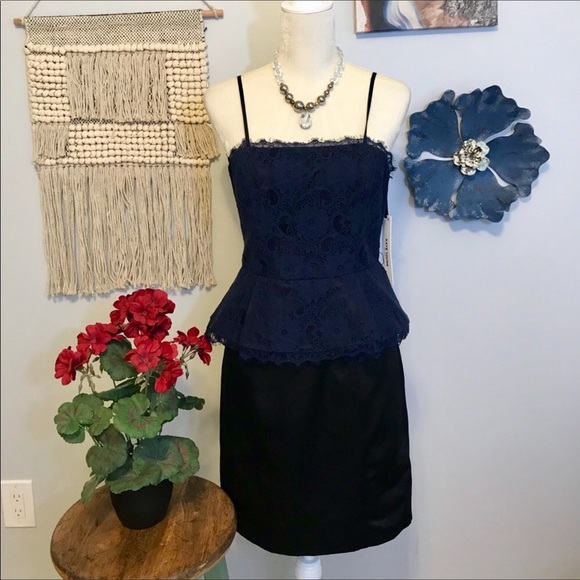 NWT Body con lace peplum dress by Kate Young - Picture 8 of 8